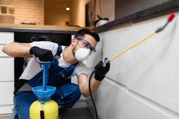 Best Pest Control Treatment  in Rugby, ND