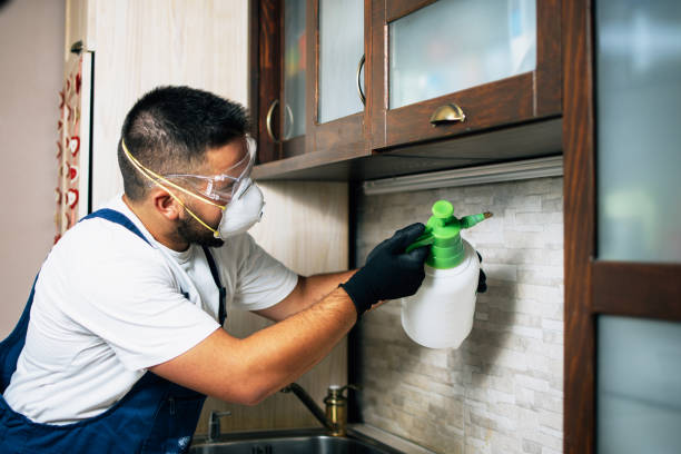 Best Bed Bug Extermination  in Rugby, ND