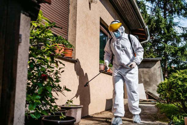 Best Insect Control  in Rugby, ND