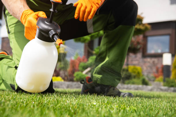 Best Pest Removal Services  in Rugby, ND