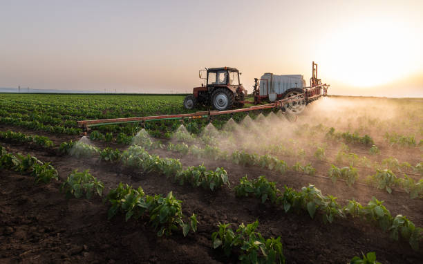 Pest Control Cost in Rugby, ND