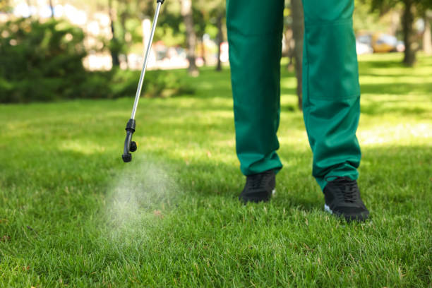 Best Termite Control Services  in Rugby, ND
