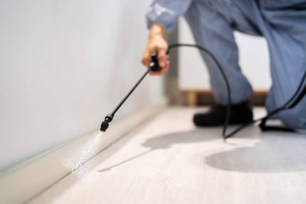 Trusted Rugby, ND Pest Control Experts
