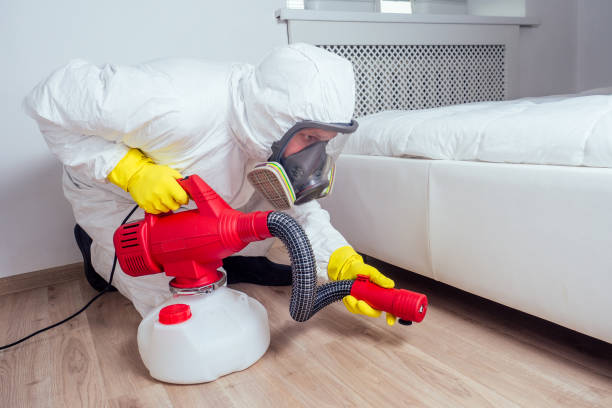 Best Residential Pest Control  in Rugby, ND