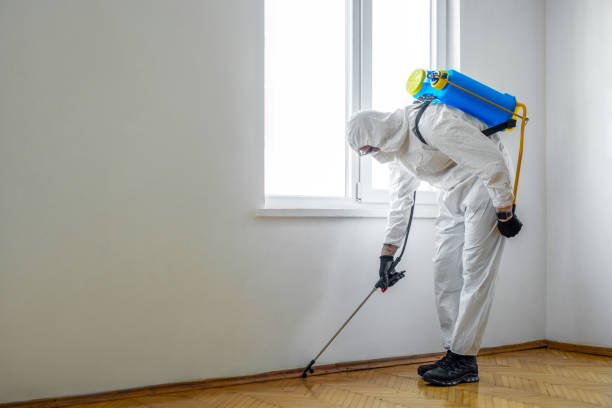 Best Cockroach Control Services  in Rugby, ND