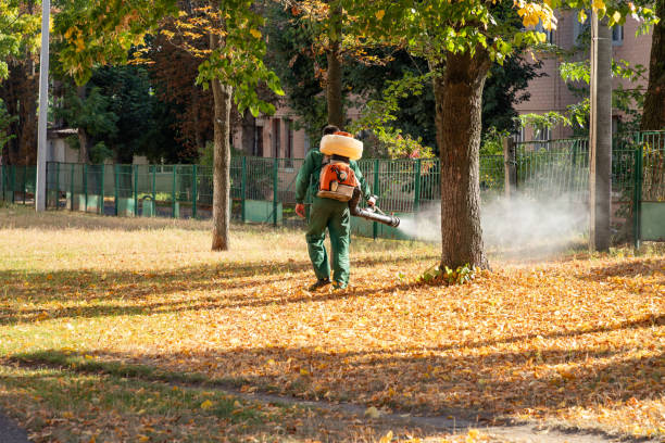 Best Best Pest Control Companies  in Rugby, ND
