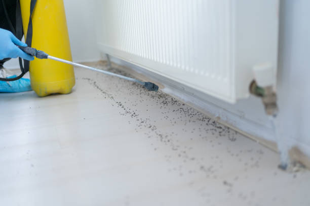 Best Pest Control Cost  in Rugby, ND